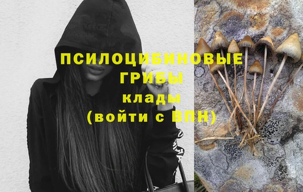 гидра Пересвет
